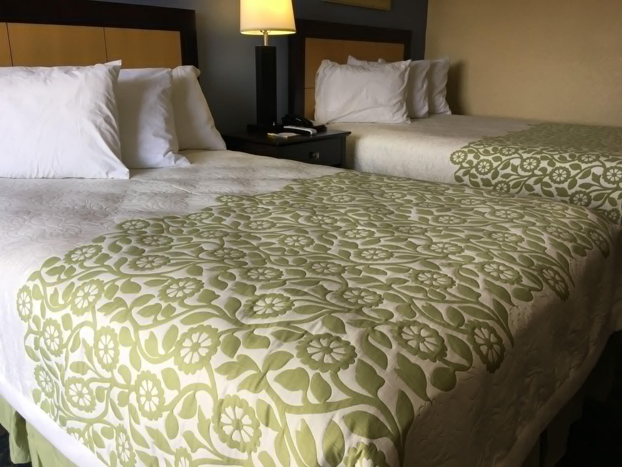 Days Inn & Suites By Wyndham Tampa - Ybor City Eksteriør bilde